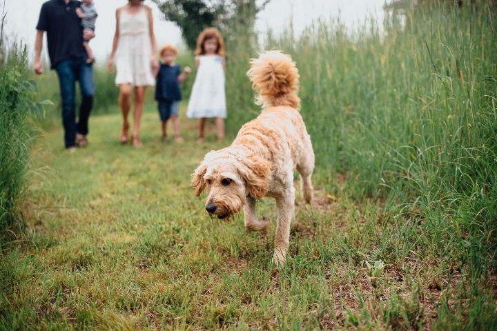 nebraska family photographer